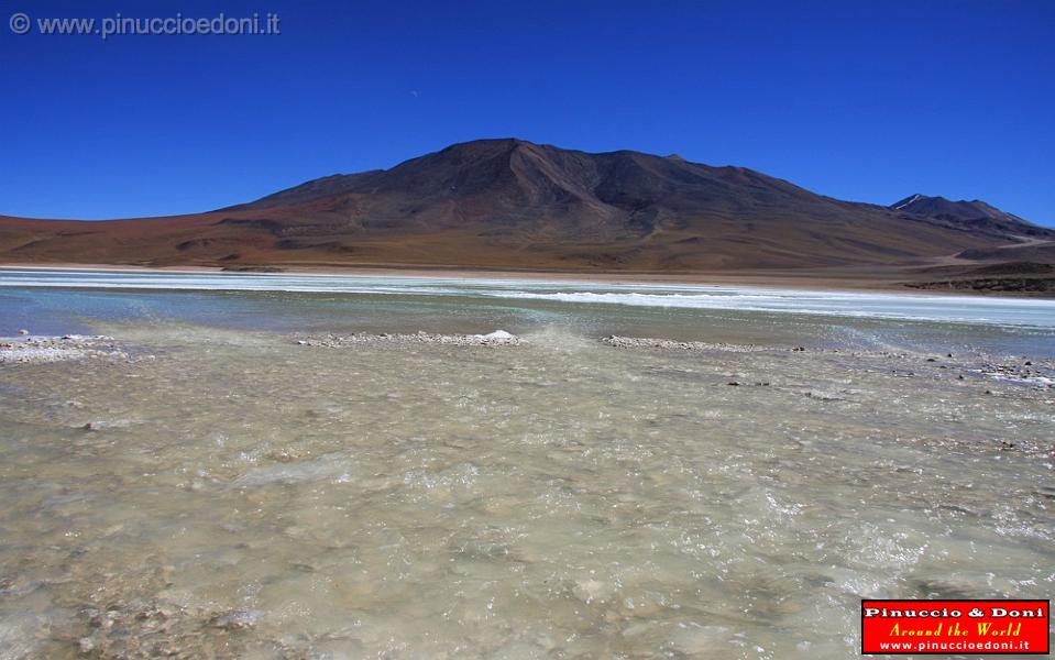 BOLIVIA 2 - Laguna Blanca - 15.jpg